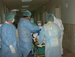 Domuz gribine 62 ölüm daha!