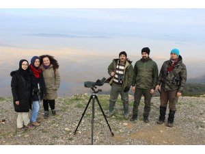 Uluabat Gölü'nde su kuşu popülasyonu arttı