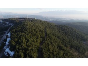 Bursa’nın en güzel ormanlarında çevre felaketi...
