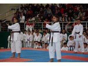 Kyokushin Karate Türkiye Şampiyonası başladı