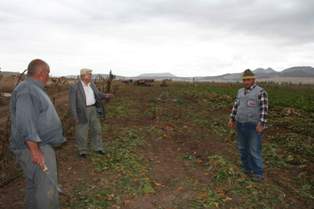 Anız, yılanları yaktı; fareleri çoğalttı
