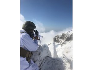 Şırnak'ta terör operasyonu