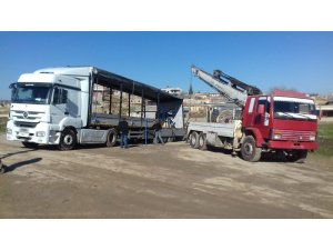 Tır sürücüsünü öldürüp kasadaki bakır kabloları çaldılar