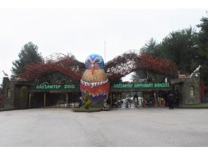 Ziyaretçi rekoru "Tropik kelebek bahçesi" ile kırılacak