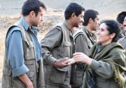 Kandil’den gelenler domuz girbi oldu