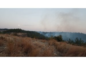 Osmaniye’de orman yangını