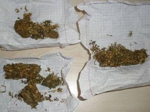 Jandarma uyuşturucuya geçit vermiyor: 10 gözaltı