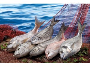 Su ürünleri ve hayvansal mamuller sektörü 2023 hedefini 3,5 milyar dolara yükseltti