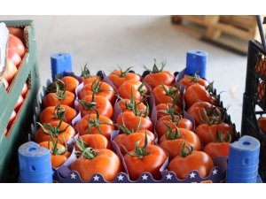 Yeni sebze ve meyve halinde satışlar başladı