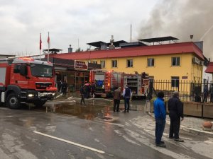 Yanan kuruyemiş fabrikasında zarar 5 milyon TL