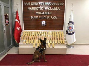 Van’da 41 kilo eroin ile 10 bin euro ele geçirildi