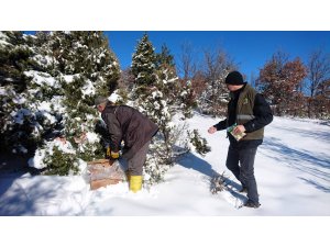 Beyşehir'de yaban hayvanlarına yem desteği