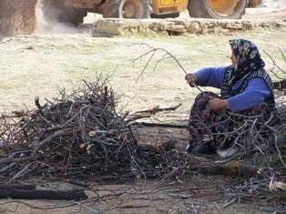 Kışlık yakacak telaşı başladı