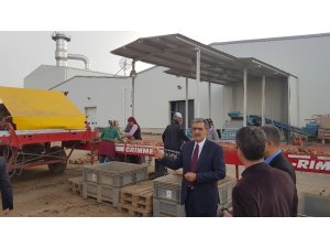 Konya Şeker Bir Tesis Yaptı Konya’da Patates Üretimi 3’e Katlandı