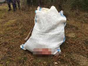 Sinop’ta yasa dışı karaca avcılarına suçüstü