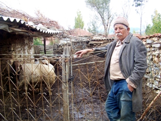 Seydişehir'de küçükbaş hayvan hırsızlığı