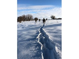 Şırnak'ta terör operasyonu