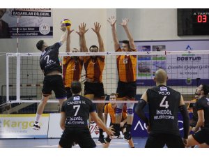 Voleybol: Efeler Ligi