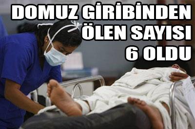 Domuz gribi Konya'da 2 can aldı!