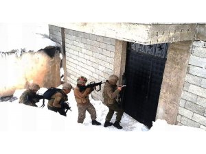Bitlis’te ‘Cumhurbaşkanına hakaret ve terör propagandası’ yapanlara operasyon