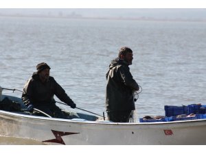 İsrail sazanları Irak ve Suriye’ye ihraç ediliyor