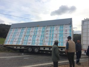 Milas’ta trafik kazası