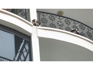 Bursa’da nefes kesen kedi kurtarma operasyonu