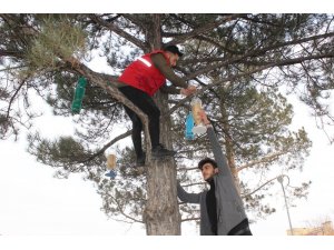 Gençler 3D yazıcıyla kuşlar için yemlik yaptı