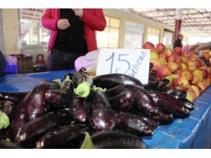 Patlıcan, üretim merkezi Antalya’da 15 TL