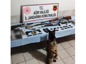 "Dağ" teröre geçit vermedi