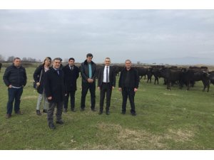 Öztürk’ten Salihli’de manda çiftliğine ziyaret