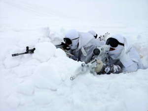 Muş'ta terör operasyonu