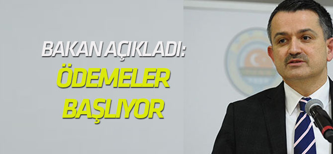 Çiğ süt destekleme ödemeleri başlıyor