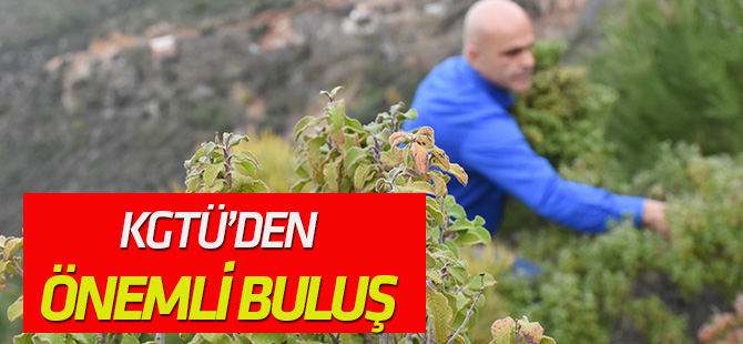 KGTÜ’den yeni buluş