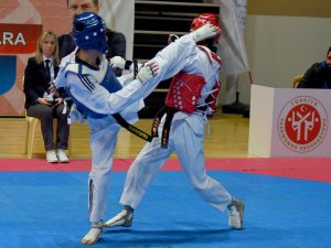 Tekvando: Büyükler Türkiye Şampiyonası