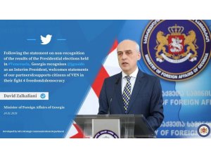 Gürcistan, Guaido’yu cumhurbaşkanı olarak tanıdı