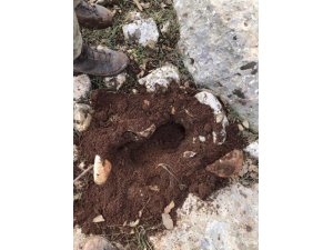 Şırnak'ta terör operasyonu