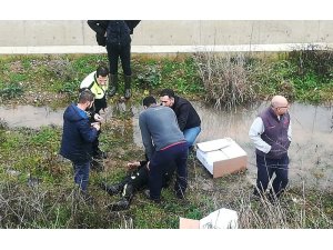 İzmir’de trafik polisi yol güvenliğini sağlarken şehit oldu