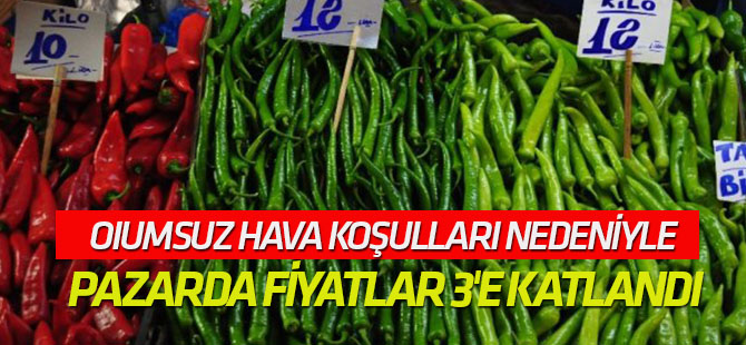 OIumsuz Hava Koşulları Nedeniyle Pazarda Fiyatlar 3'e Katlandı