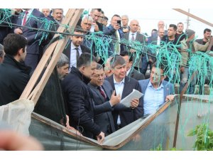 Bakan Pakdemirli: "Finike ve Kumluca’da 5 bin dönüm örtü altı alan zarar gördü"