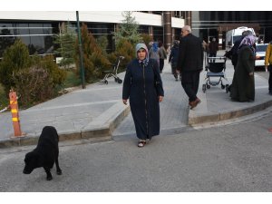 Güvenlik görevlilerinin sahiplendiği "Karakız" hastanenin maskotu oldu