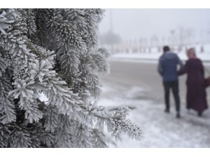 Doğu Anadolu'da soğuk hava ve sis