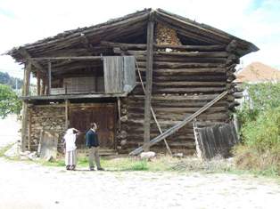 Çamevler koruma altına alınacak