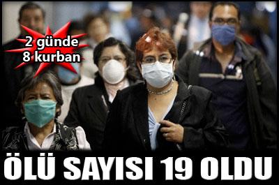 Domuz gribi, 4 can daha aldı