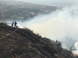 Hatay’da bitki örtüsü yangını