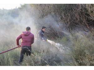 Hatay'da orman yangını