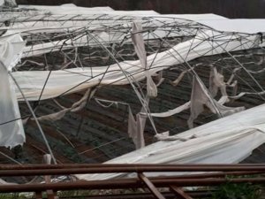Alanya’da hortum seralara zarar verdi