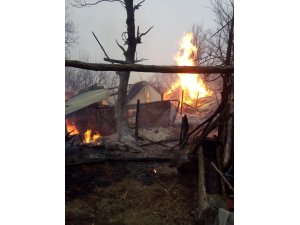 Kastamonu’da çıkan yangında 14 hayvan telef oldu