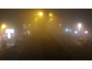 Viranşehir’de yoğun sis etkili oldu