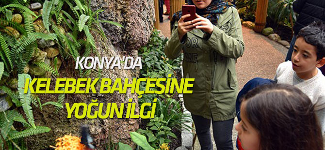 Konya Tropikal Kelebek Bahçesine yoğun ilgi